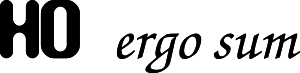 Ho_ergo_sum